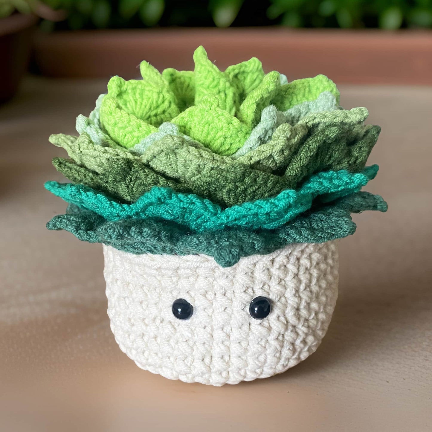 Handmade 6PCS Crochet Coasters | Crochet Succulent | Decorative Coasters | Potted Plant Coasters | Crochet Flowers | House Warning Gift