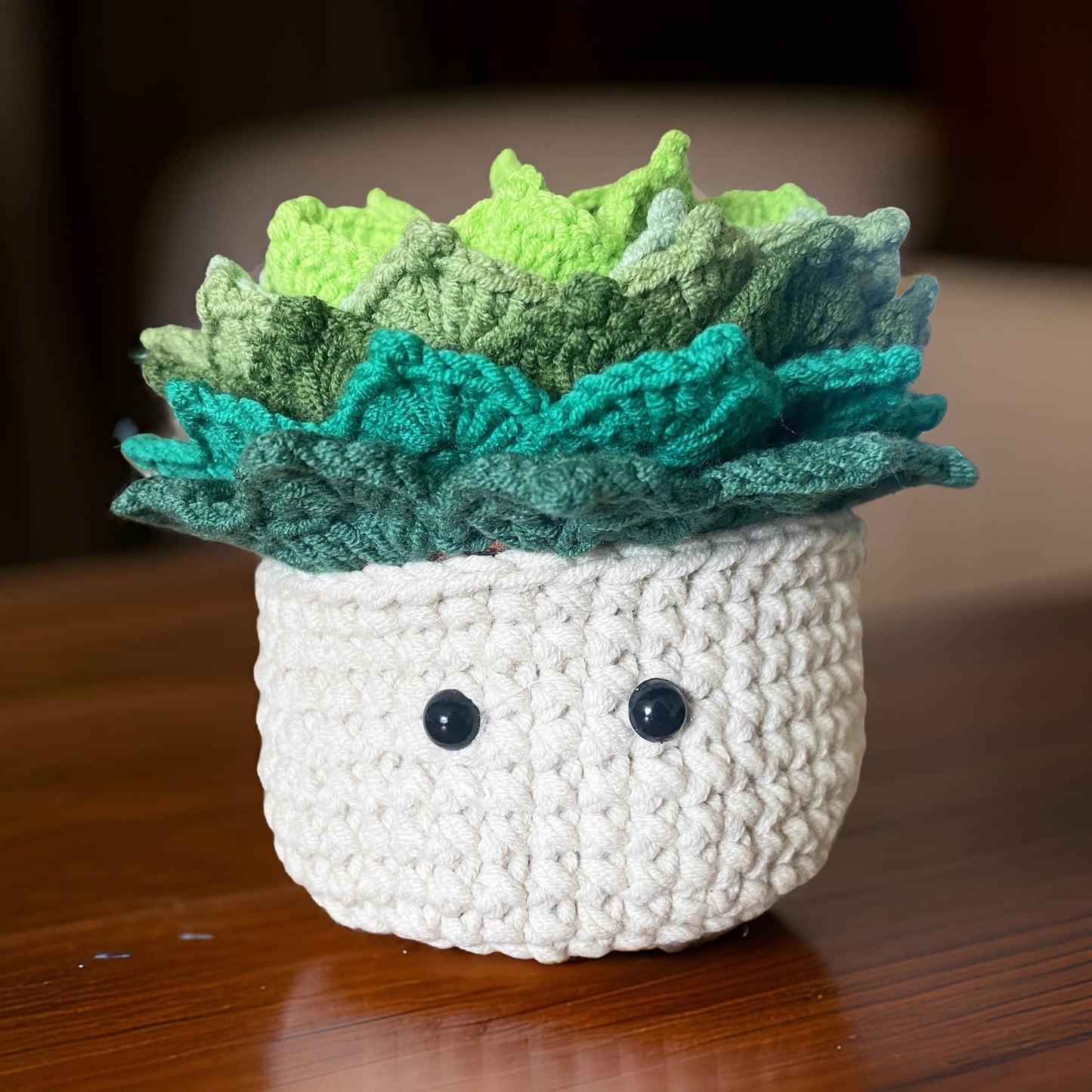 Handmade 6PCS Crochet Coasters | Crochet Succulent | Decorative Coasters | Potted Plant Coasters | Crochet Flowers | House Warning Gift