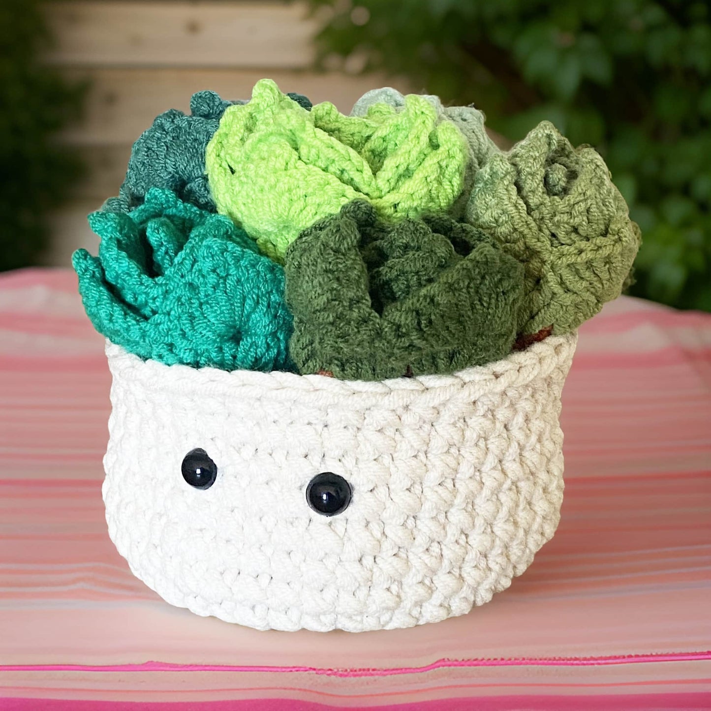 Handmade 6PCS Crochet Coasters | Crochet Succulent | Decorative Coasters | Potted Plant Coasters | Crochet Flowers | House Warning Gift