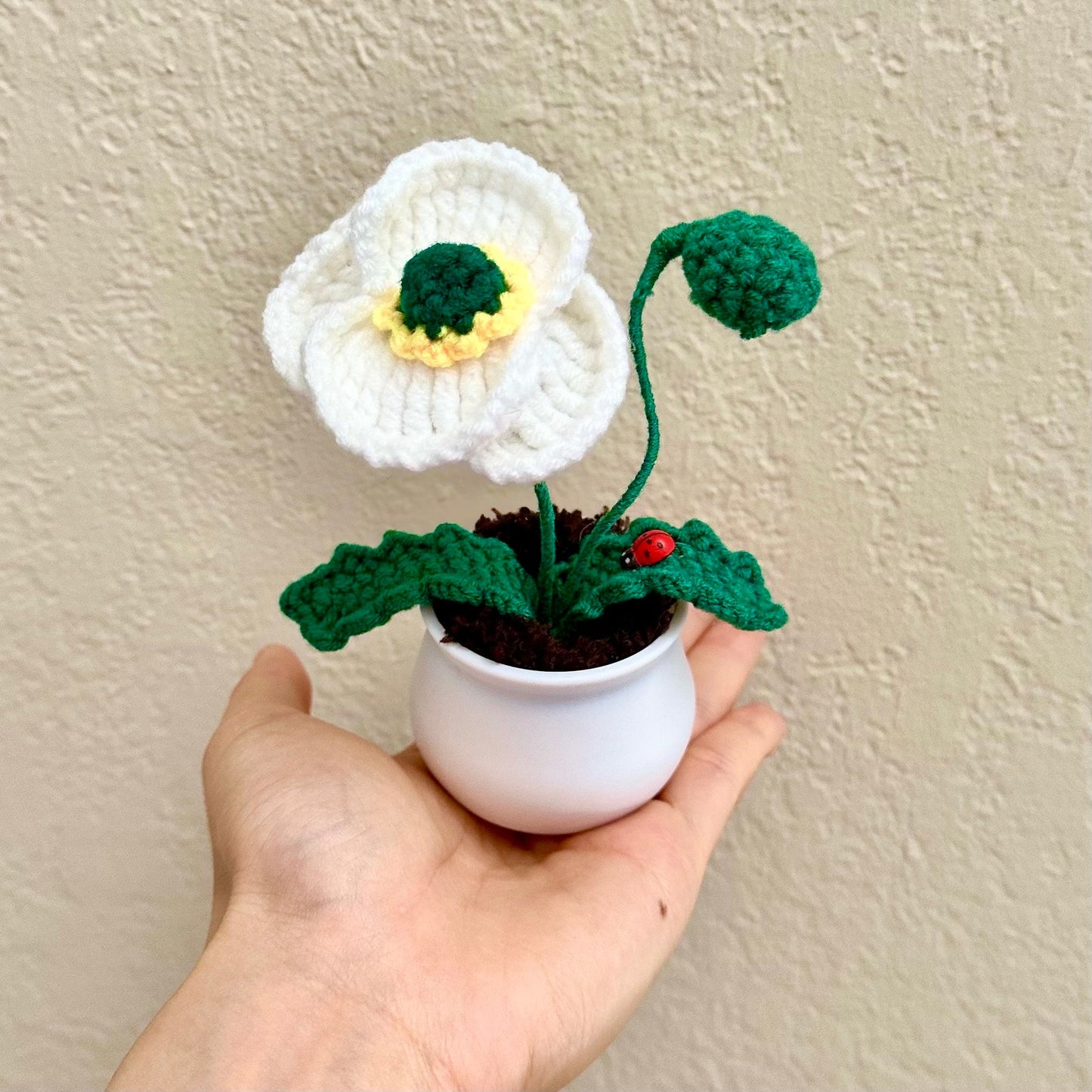 Handmade Finished Crochet Poppy Flower Pot | Red Pink Blue White Orange Green | Cute Home Desk Office Decor | Gift Birthday Anniversary