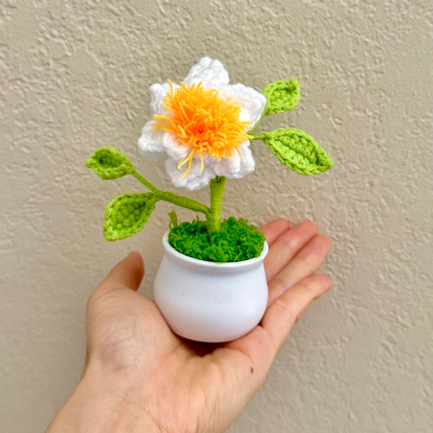 Handmade Crochet Gardenia Flower Pot Plant | Home Desktop Table Decor | Dried Daisy | Handcrafted Gift for Wife Mom Birthday | Summer