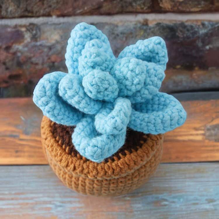 Finished Handmade Crochet Succulent | Crocheted Pachyphytum | Mini Flower Pot | Office Desk Home Decor | Decorative Plants | Gift Mom Friend