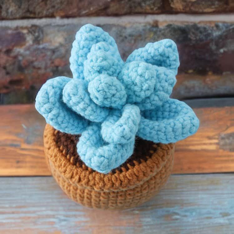 Handmade Crochet Succulent: Pachyphytum in Mini Pot