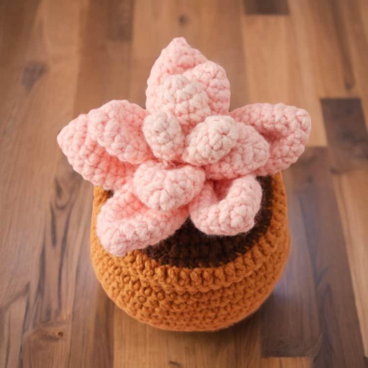 Finished Handmade Crochet Succulent | Crocheted Pachyphytum | Mini Flower Pot | Office Desk Home Decor | Decorative Plants | Gift Mom Friend