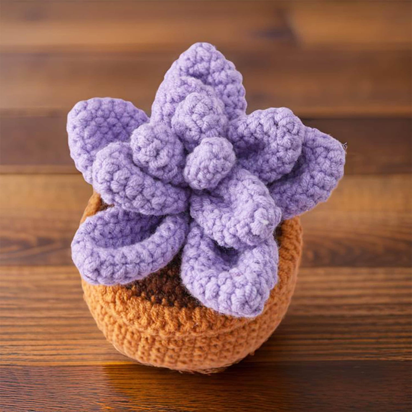 Finished Handmade Crochet Succulent | Crocheted Pachyphytum | Mini Flower Pot | Office Desk Home Decor | Decorative Plants | Gift Mom Friend