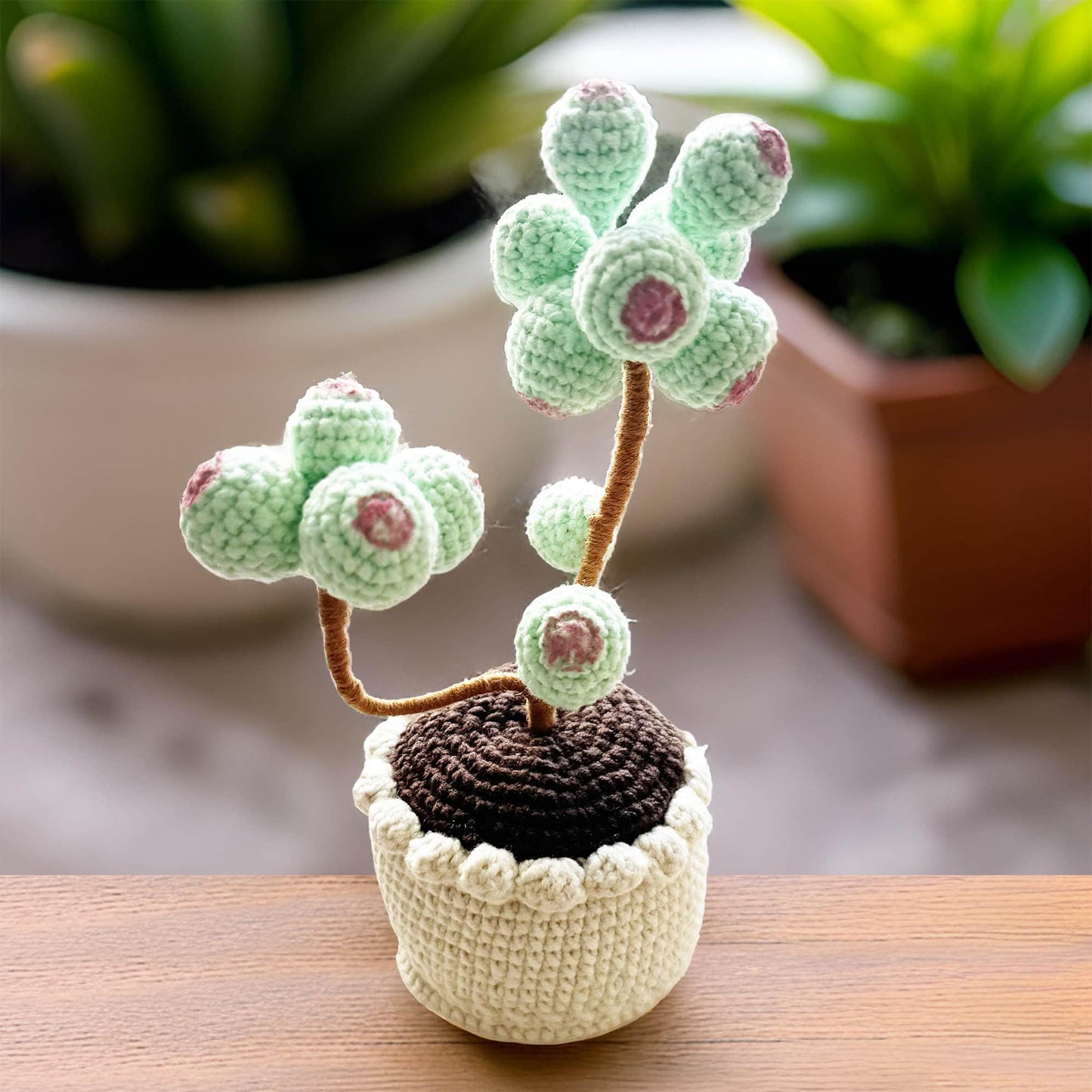 Handmade Crochet Succulent Tree | Crocheted Pachyphytum | Artificial Flower | Office Desk Home Decor | Decorative Plants | Gift Mom Wife