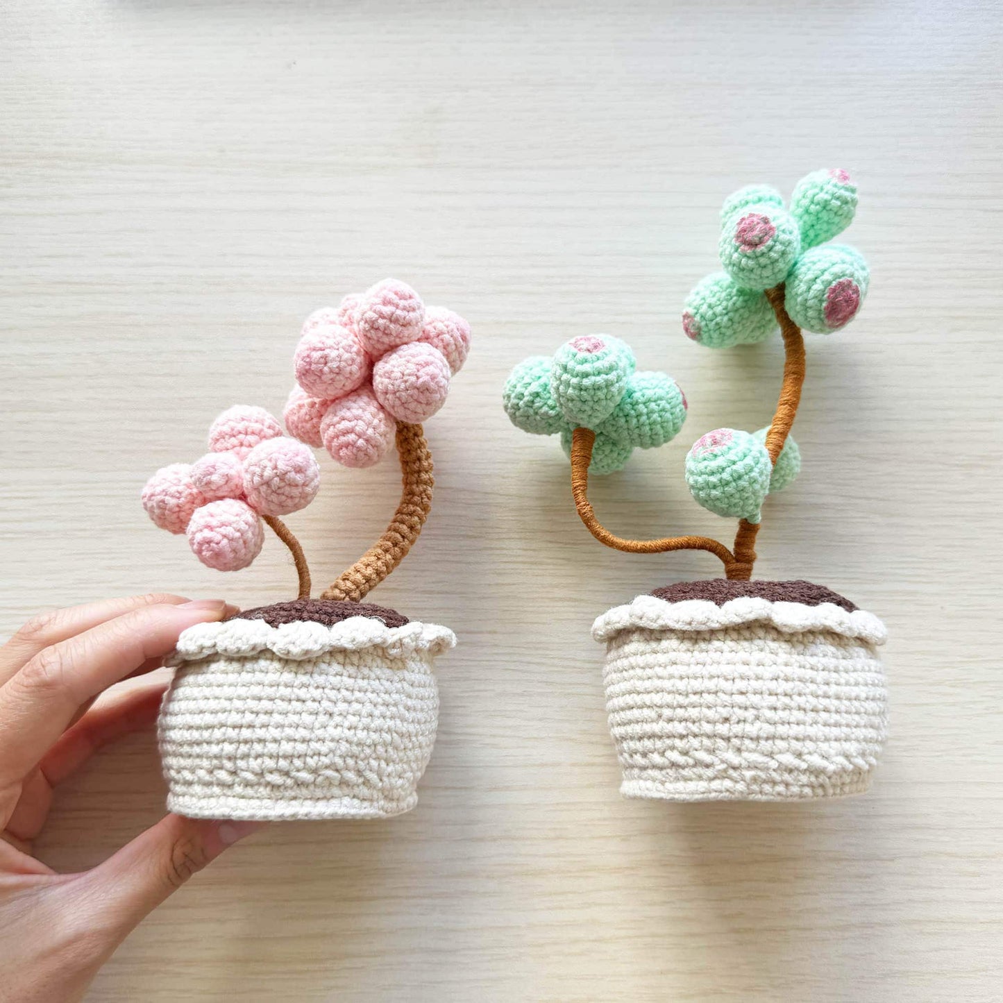 Handmade Crochet Succulent Tree | Crocheted Pachyphytum | Artificial Flower | Office Desk Home Decor | Decorative Plants | Gift Mom Wife