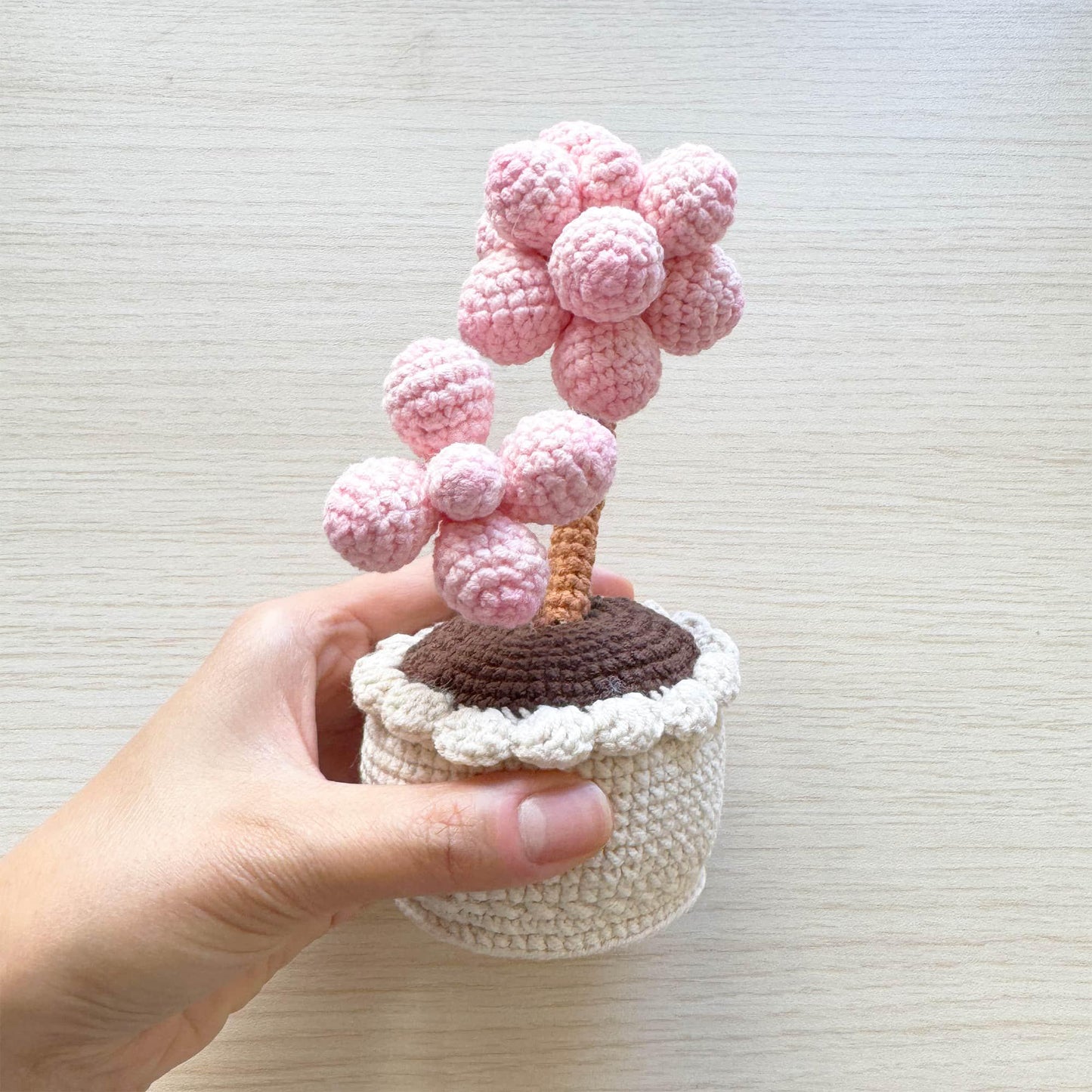 Handmade Crochet Succulent Tree | Crocheted Pachyphytum | Artificial Flower | Office Desk Home Decor | Decorative Plants | Gift Mom Wife