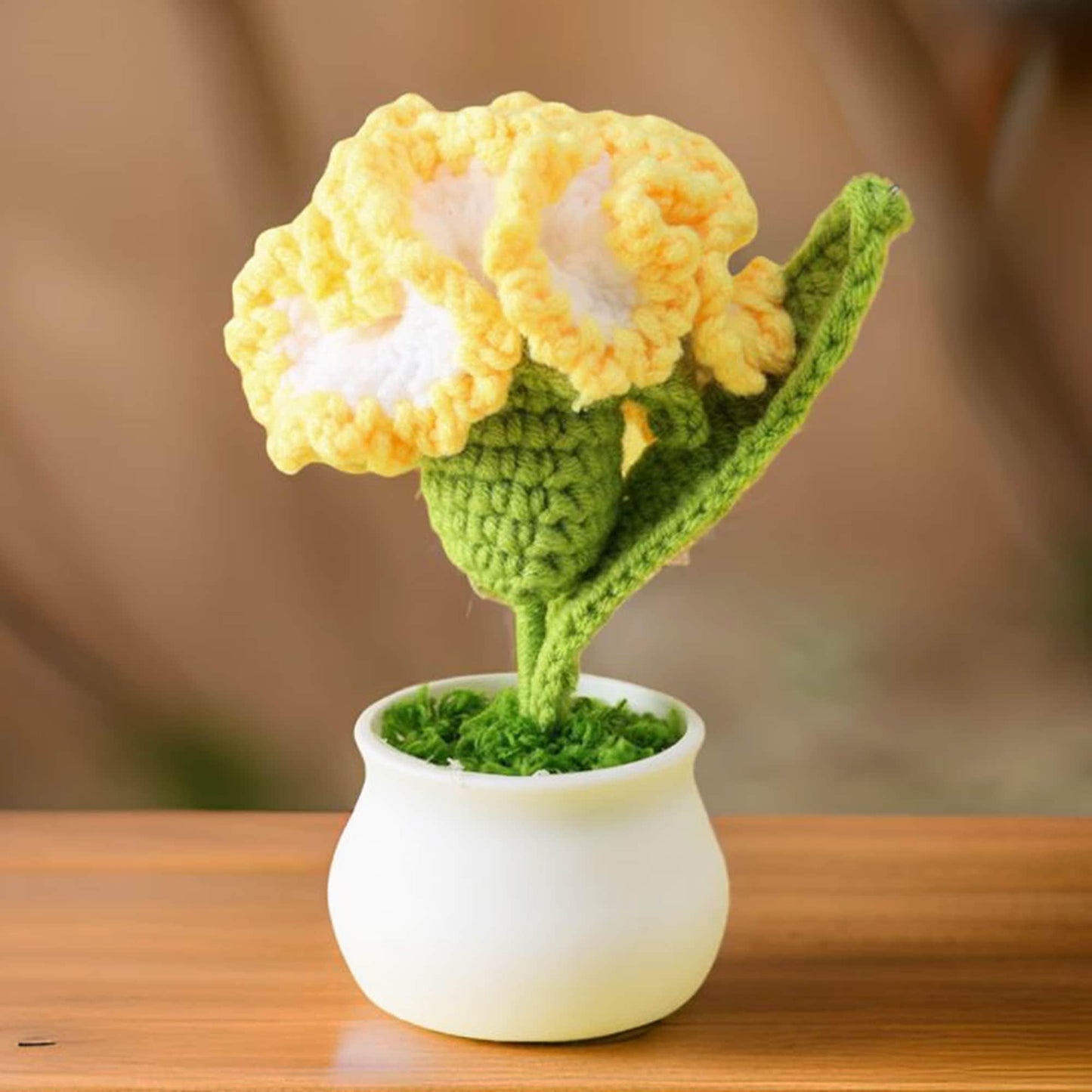 Handmade Crochet Carnation Pot | Pink | Yellow | Blue | Gift for Mom | Girlfriend | Flower Arrangement | Dried Flowers | Mother's Day