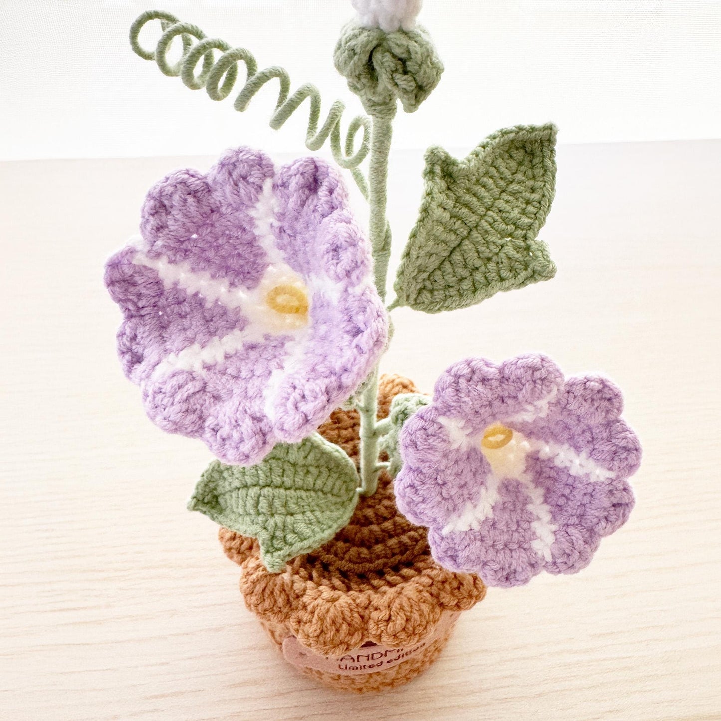 Handmade Crochet Morning Glory | Ipomoea Nil | Asagao | Japanese | Picotee | Ivy-leaf | Pot Plants | Purple | Home Living Room Desk Decor