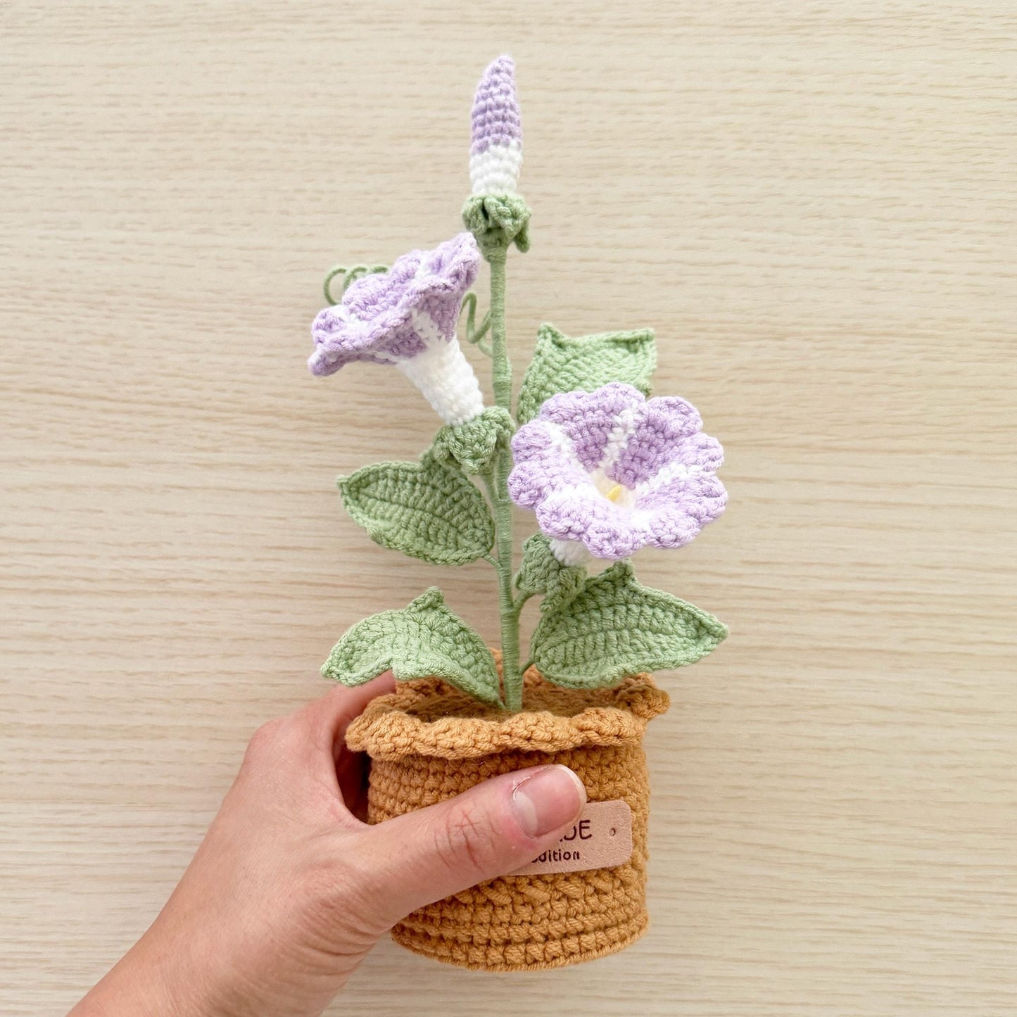 Handmade Crochet Morning Glory | Ipomoea Nil | Asagao | Japanese | Picotee | Ivy-leaf | Pot Plants | Purple | Home Living Room Desk Decor