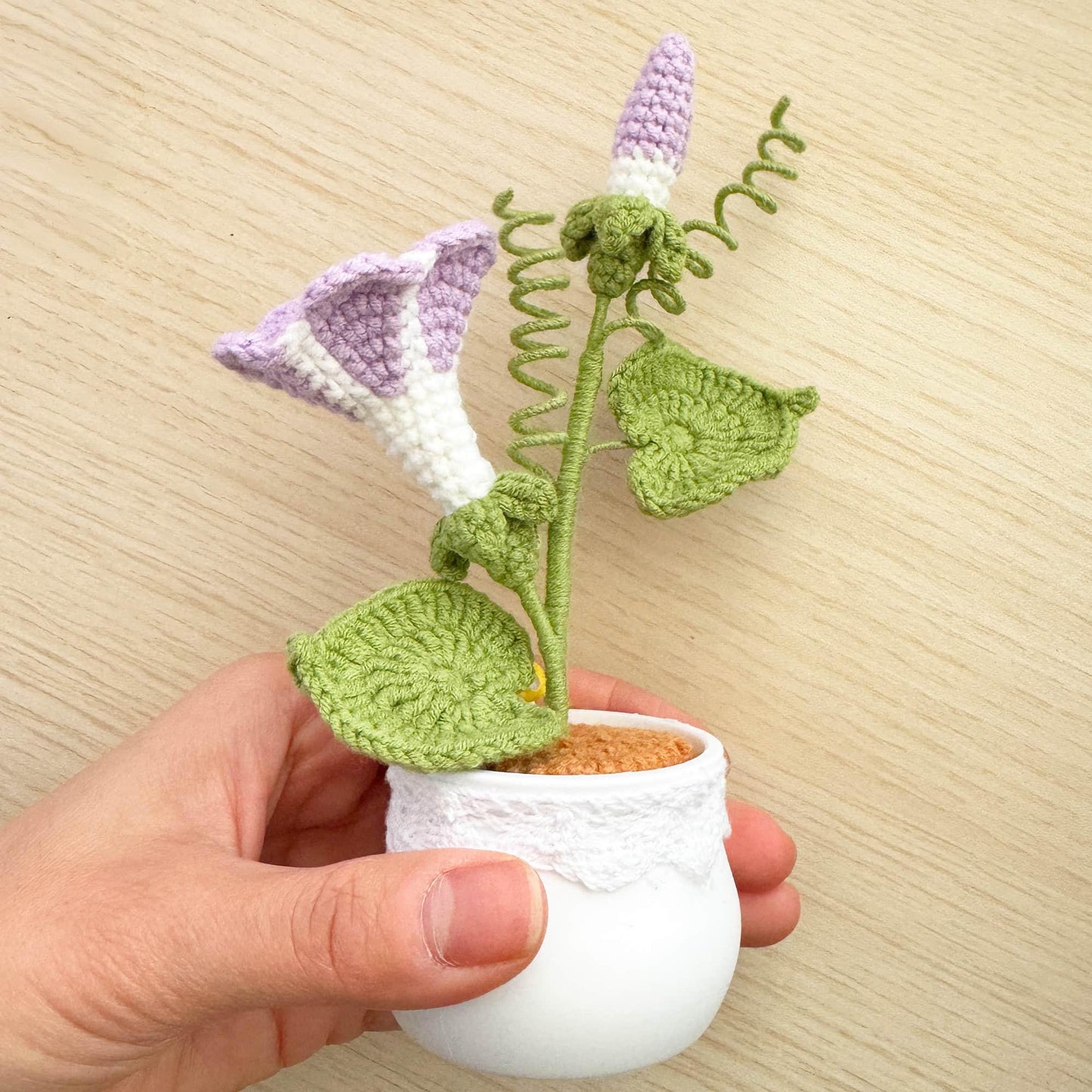 Handmade Crochet Morning Glory | Ipomoea Nil | Asagao | Japanese | Picotee | Ivy-leaf | Pot Plants | Purple | Home Living Room Desk Decor