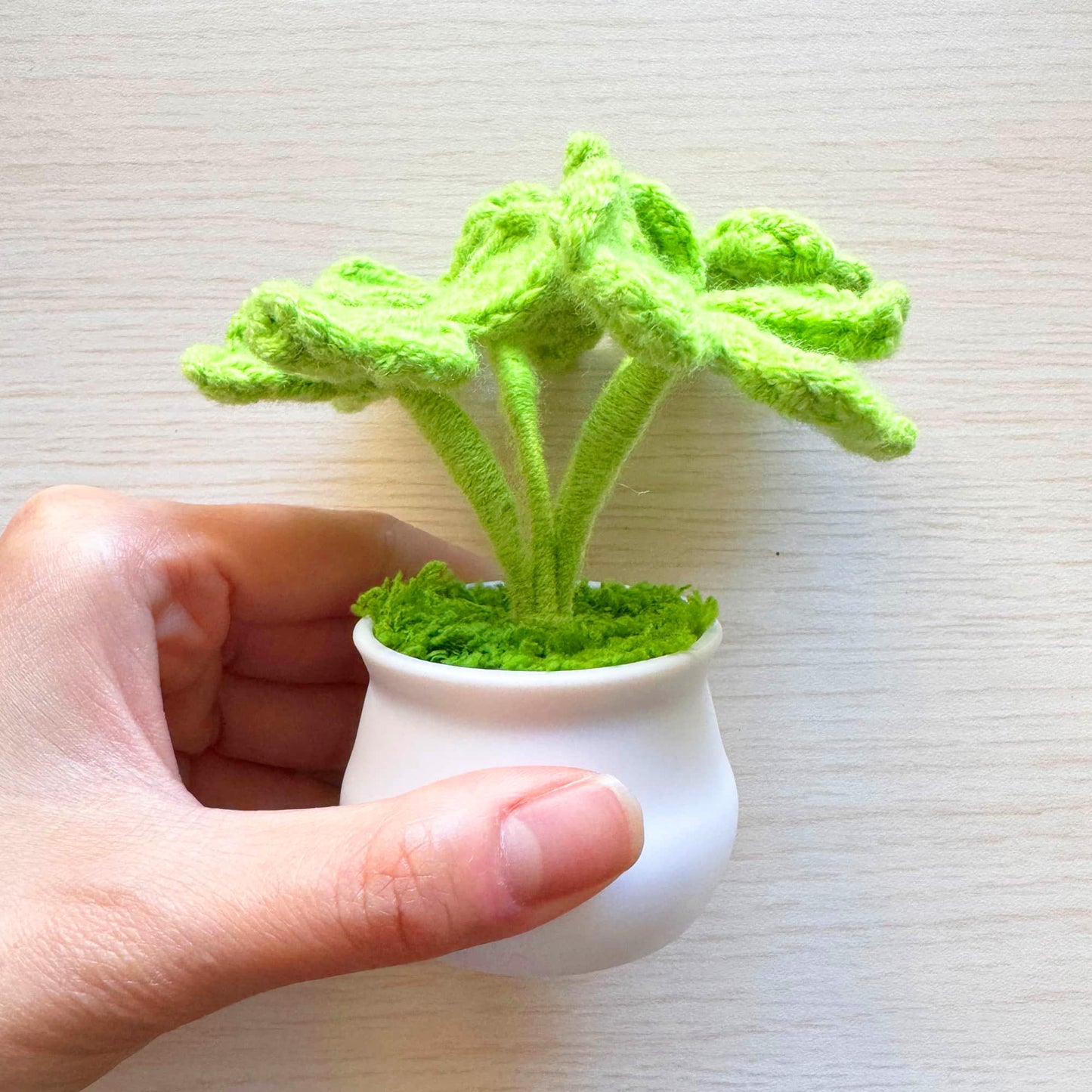 Finished Handmade Crochet Clover Flower Pot Plant | Lucky Leaves | White Green Home Decor | St Patrick's Day Graduation Birthday