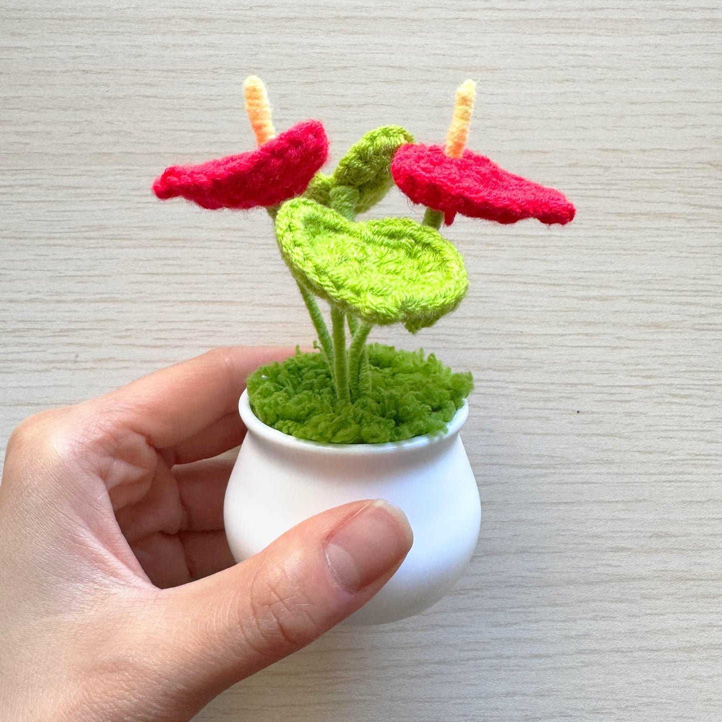 Handmade Crochet Laceleaf Pot | Anthurium | Red Green Yellow | Decorative Plants | Home Decor | Christmas | Holiday Decoration