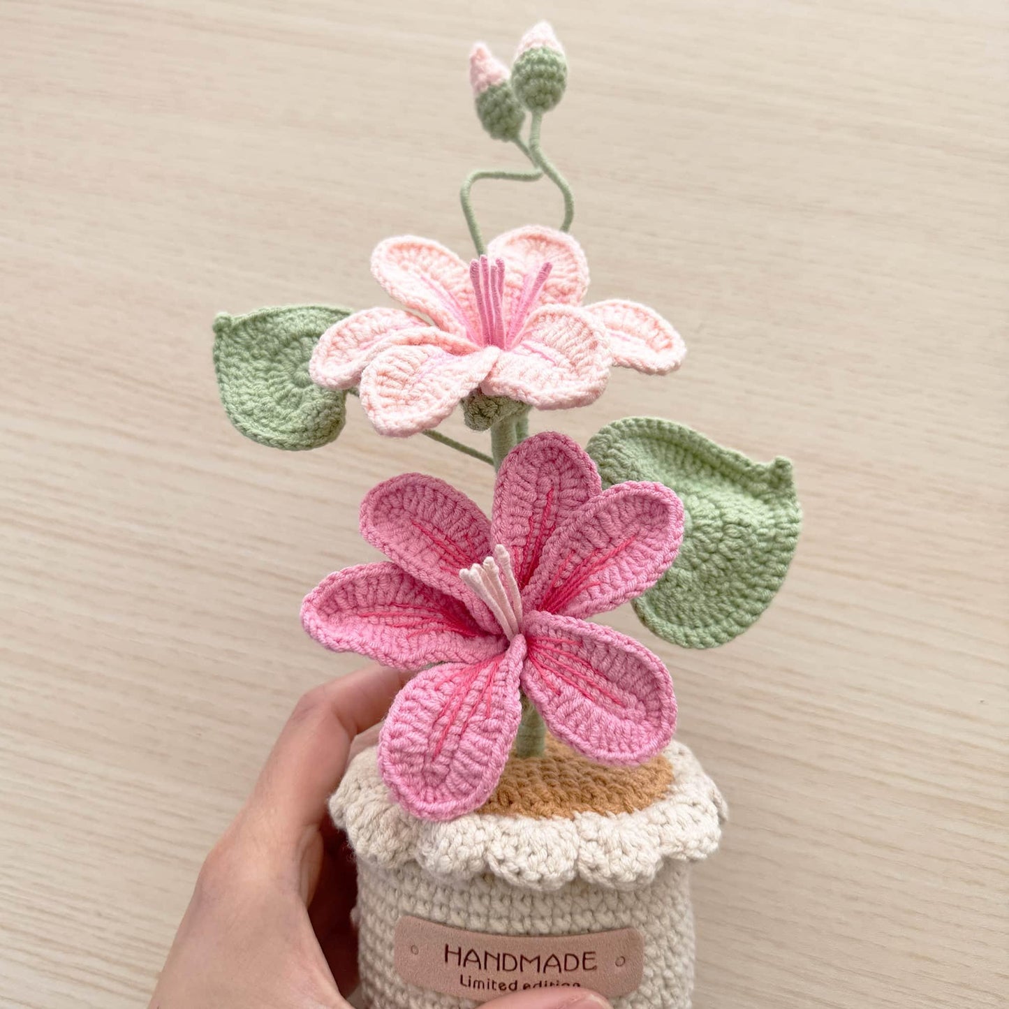 Handmade Crochet Vernicia Fordii Flower Pot Plant | Home Desktop Table Decor | Pink | Handcrafted Gift for Wife Mom Birthday