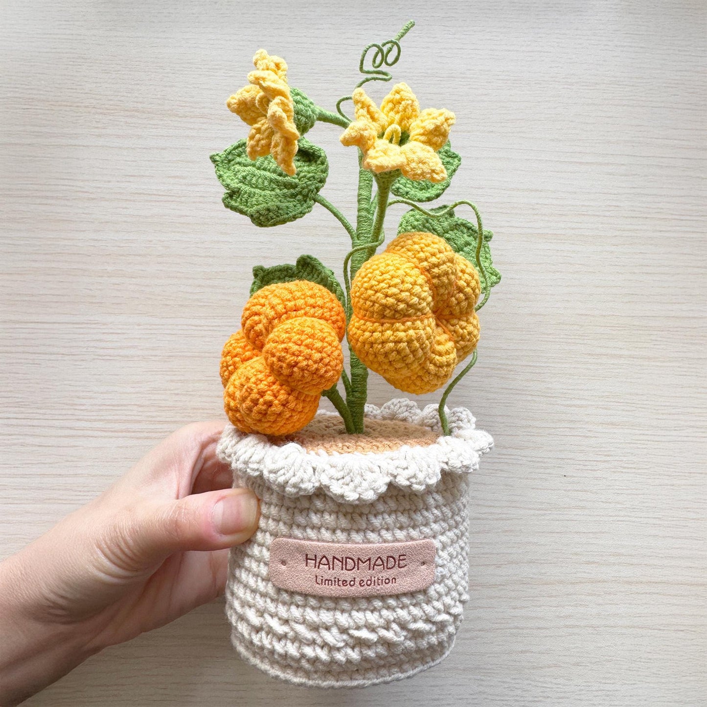 Handmade Crochet Pumpkin Fruit Flower Pot | Orange Yellow Green | Halloween Decorative Plants | Fall Home Decor | Artificial Plant | Cozy