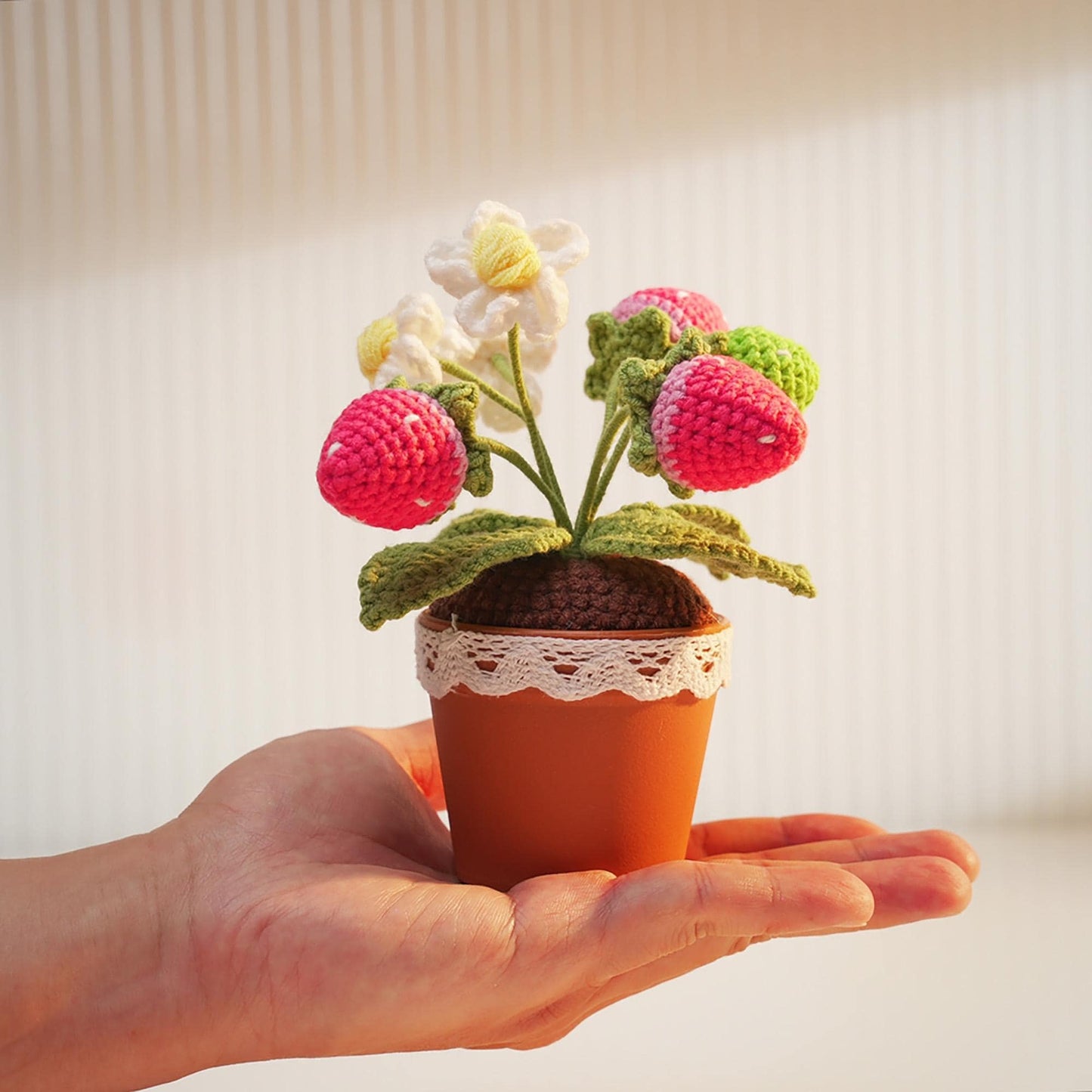 Handmade Finished Crochet Strawberry Pot | Strawberry Decor | Strawberry Crochet Pot | Decorative Plants | Crochet Flowers | Home Decor