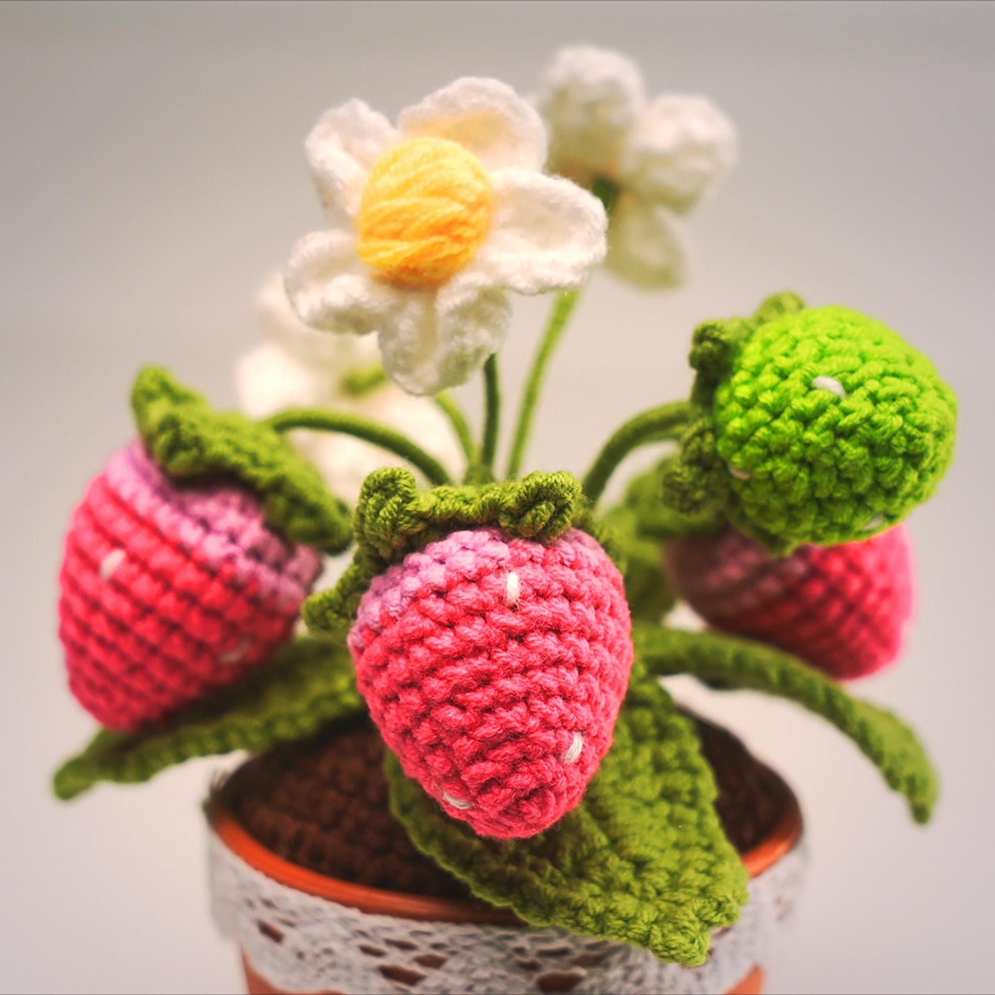 Handmade Finished Crochet Strawberry Pot | Strawberry Decor | Strawberry Crochet Pot | Decorative Plants | Crochet Flowers | Home Decor