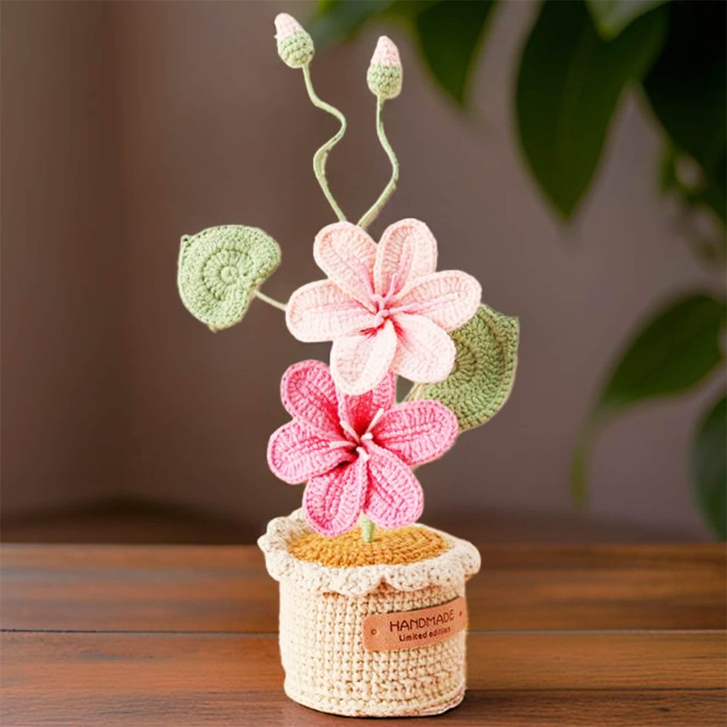 Handmade Crochet Vernicia Fordii Flower Pot Plant | Home Desktop Table Decor | Pink | Handcrafted Gift for Wife Mom Birthday