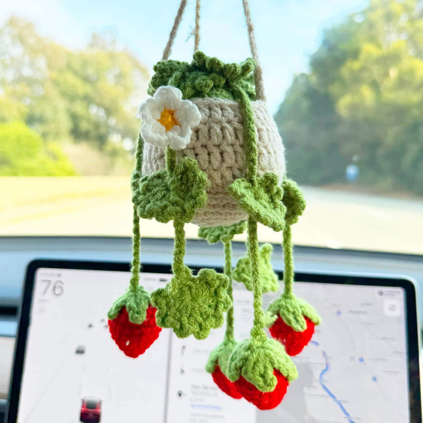 Handmade Finished Crochet Strawberry Pot | Strawberry Decor | Strawberry Crochet Pot | Decorative Plants | Crochet Flowers | Home Decor