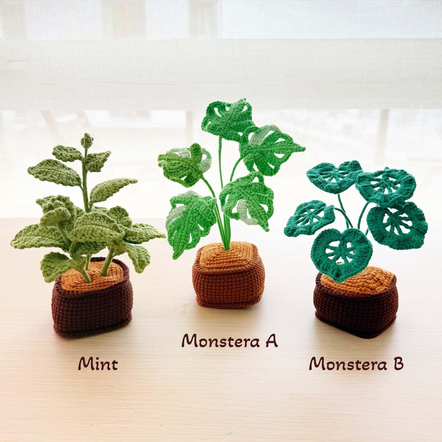 Handmade Crochet Plant Set | Mint | Monstera | Succulent | Fern | Snake Plant | Houseplant Gift | Crochet Home Decor | Indoor Garden Art