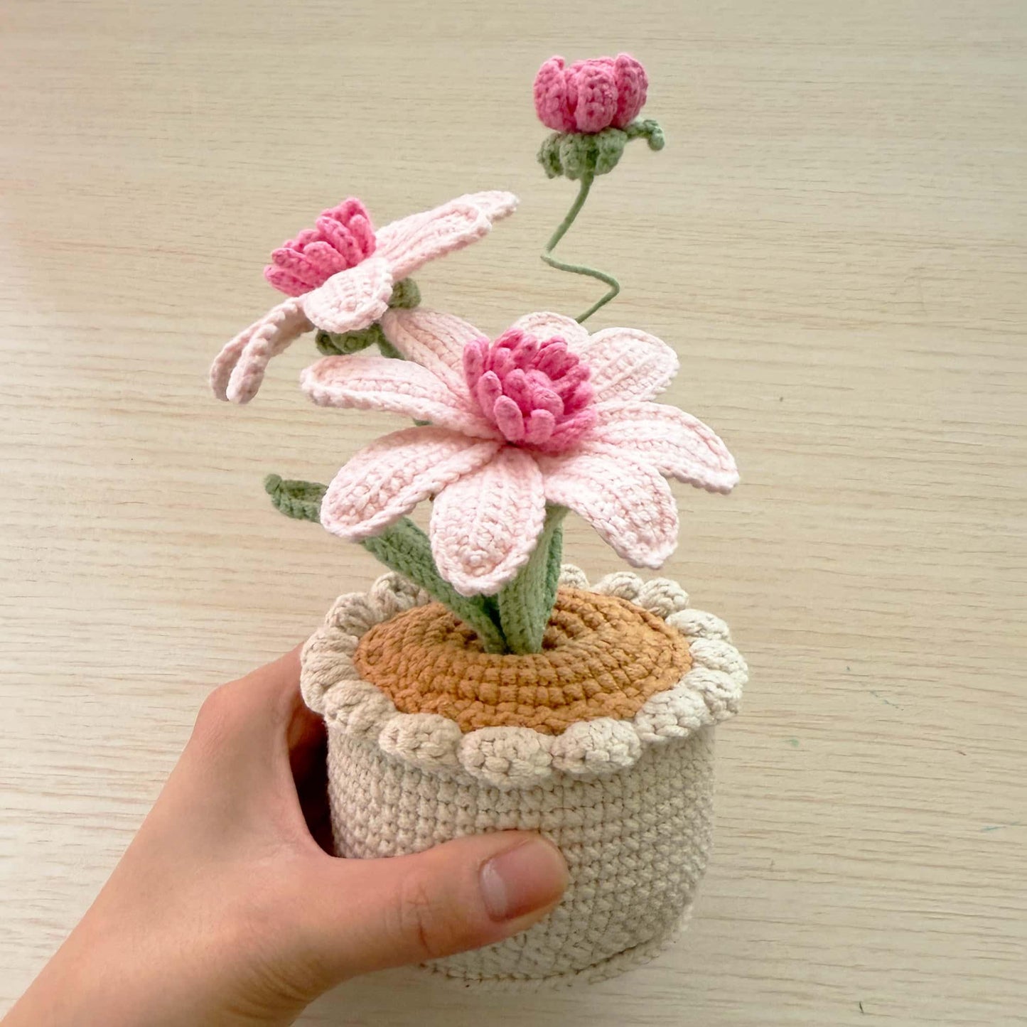 Handmade Crochet Aster Flower Pot | Purple Daisy Decor | Cute Yarn Flower | Decorative Plant | Crochet Flowers | Gift for Her