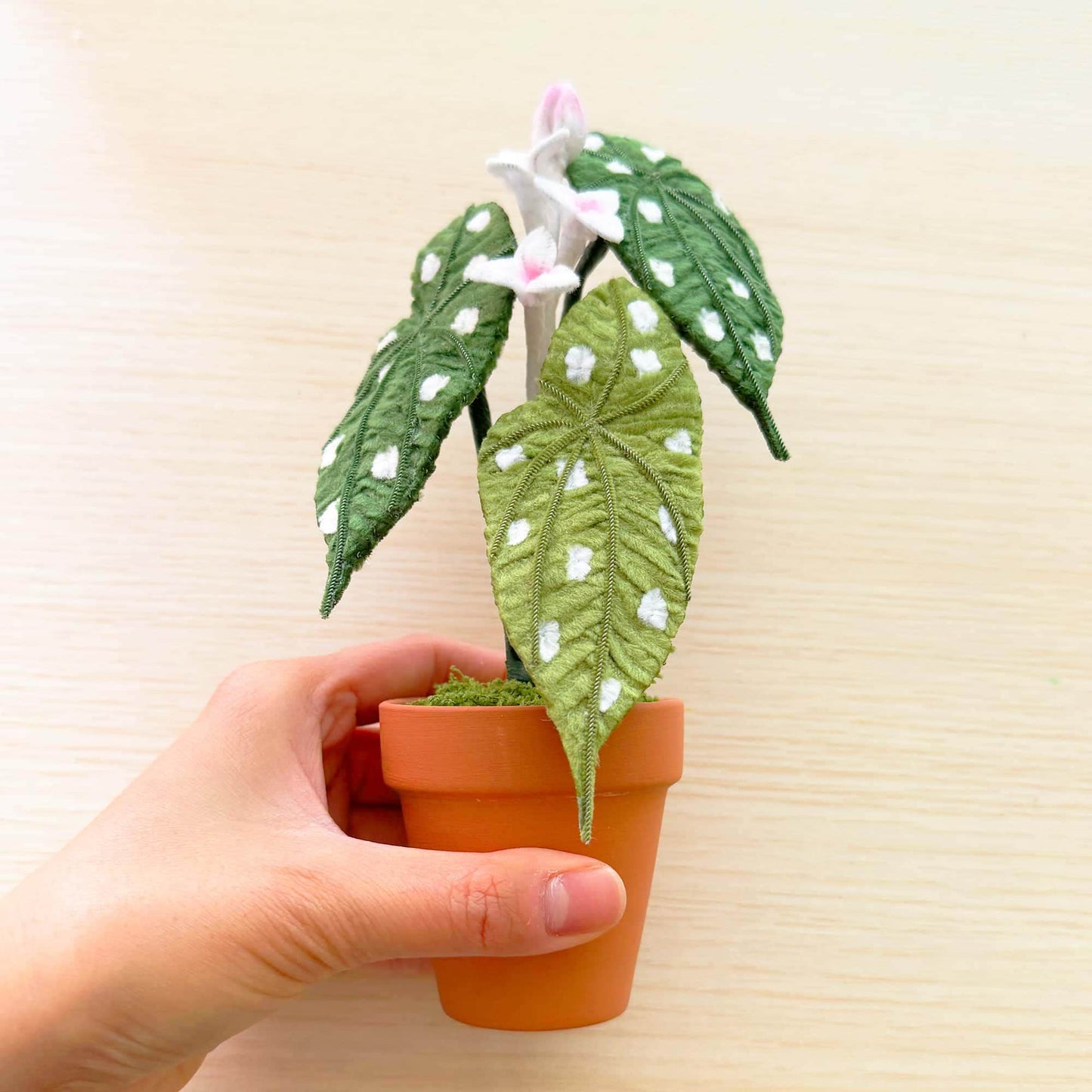 Handmade Pipe Cleaner Begonia Maculata | Polka Dot Plant Decor | Embroidered Houseplant Gift | Faux Potted Leaf Art | Flamingo Queen