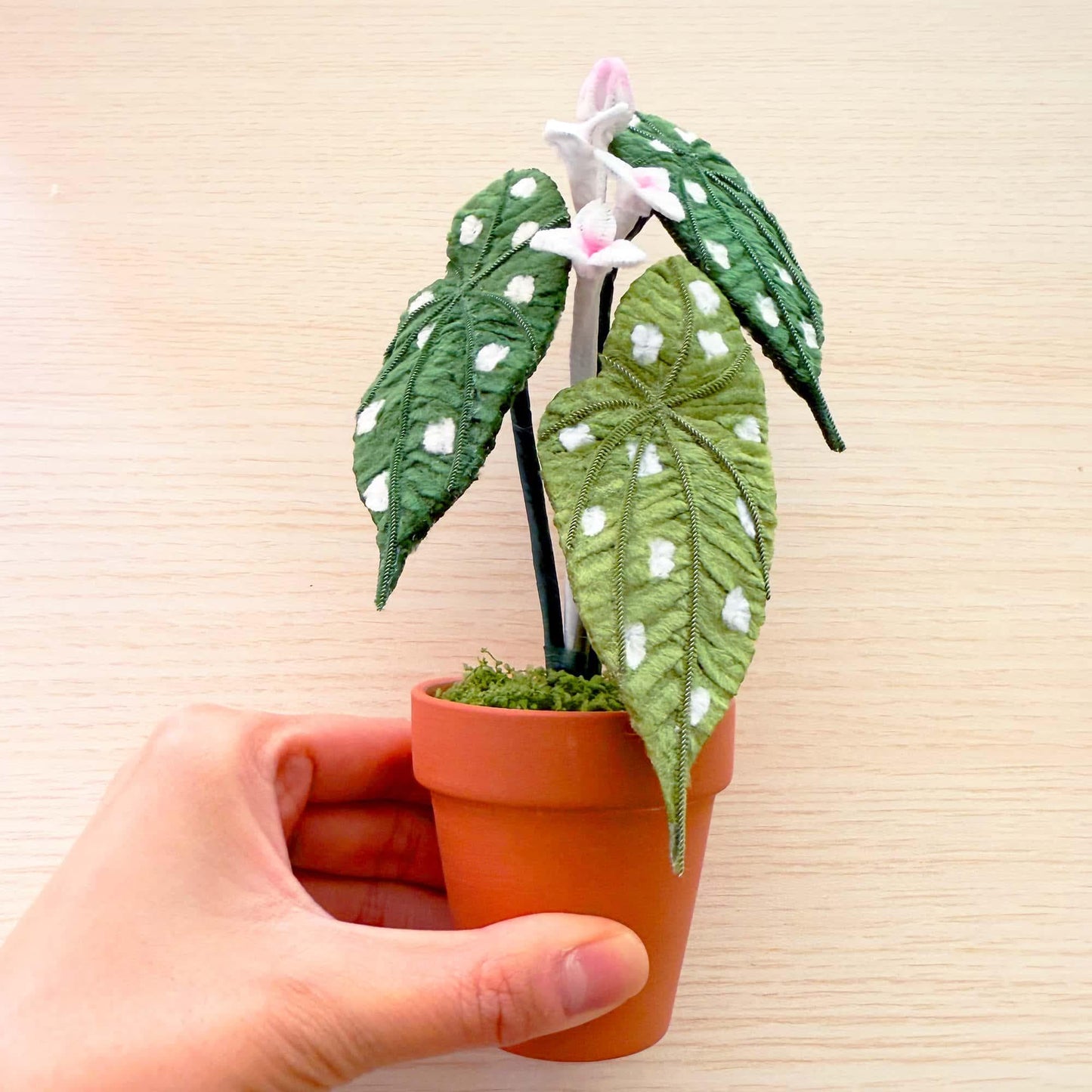 Handmade Pipe Cleaner Begonia Maculata | Polka Dot Plant Decor | Embroidered Houseplant Gift | Faux Potted Leaf Art | Flamingo Queen