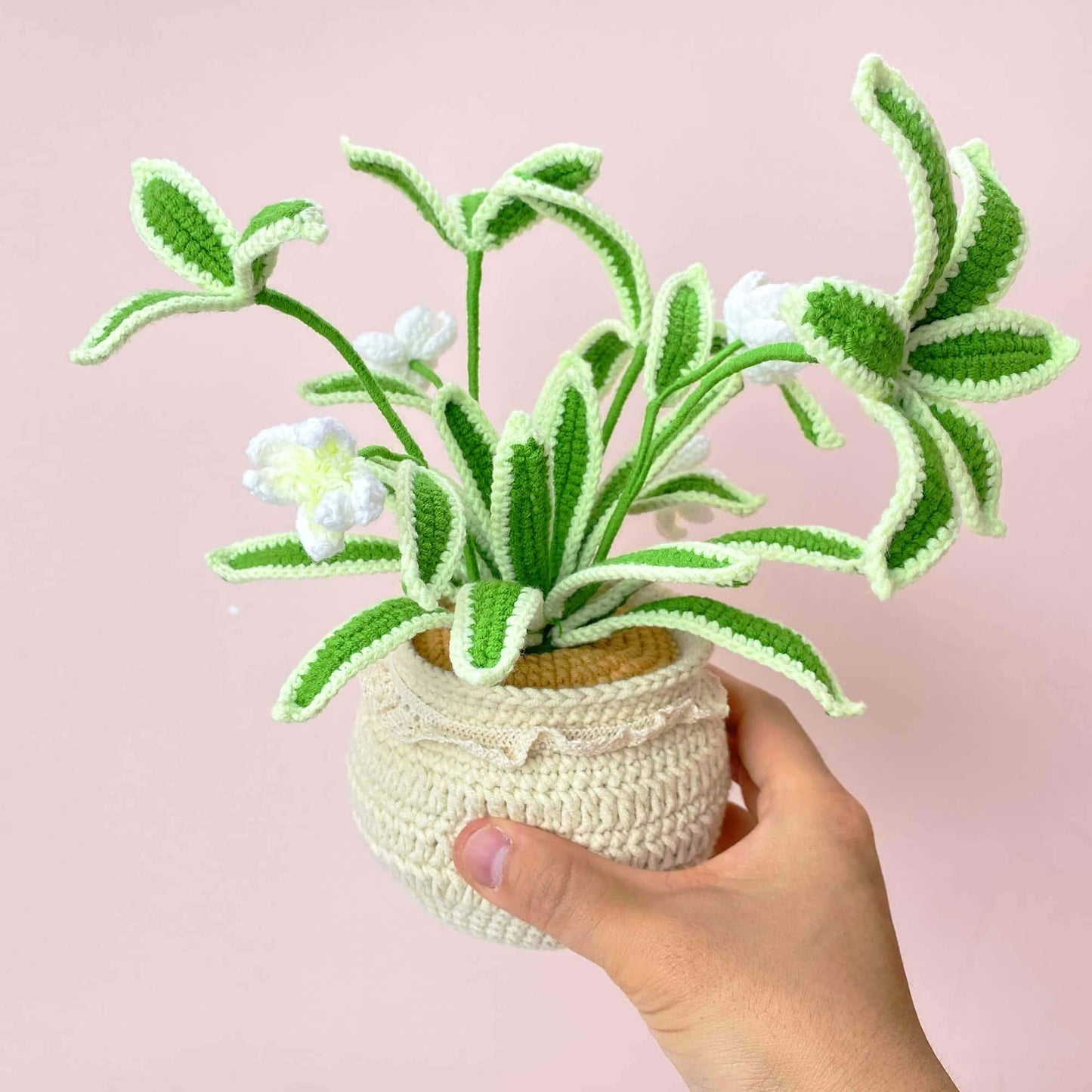 Handmade Crochet Spider Plant | Hanging Houseplant Decor | No-Water Indoor Plant | Fiber Art Plant Gift | Cute Crochet Greenery
