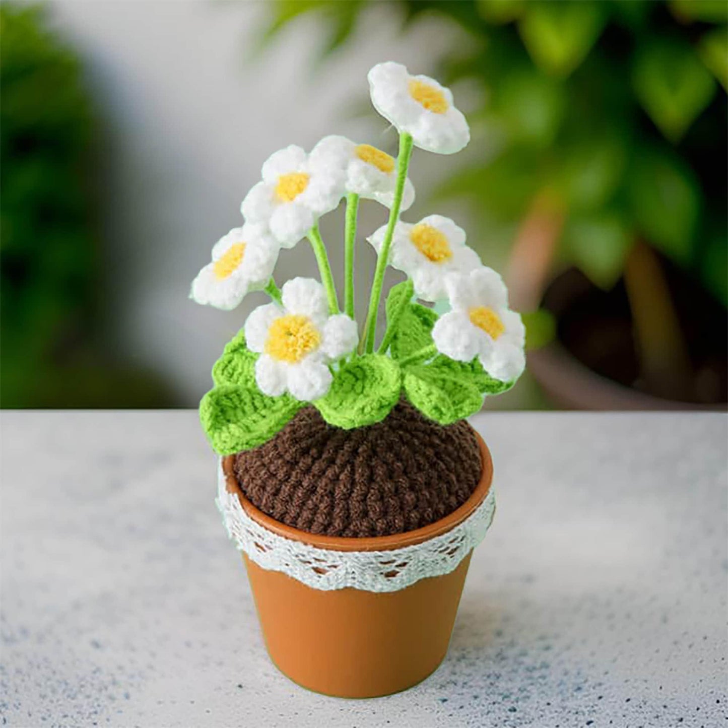 Handmade Crochet Daisy Pot | Crochet Daisy Decor | Dried Daisy | Handmade Gift | Summer Home Decor