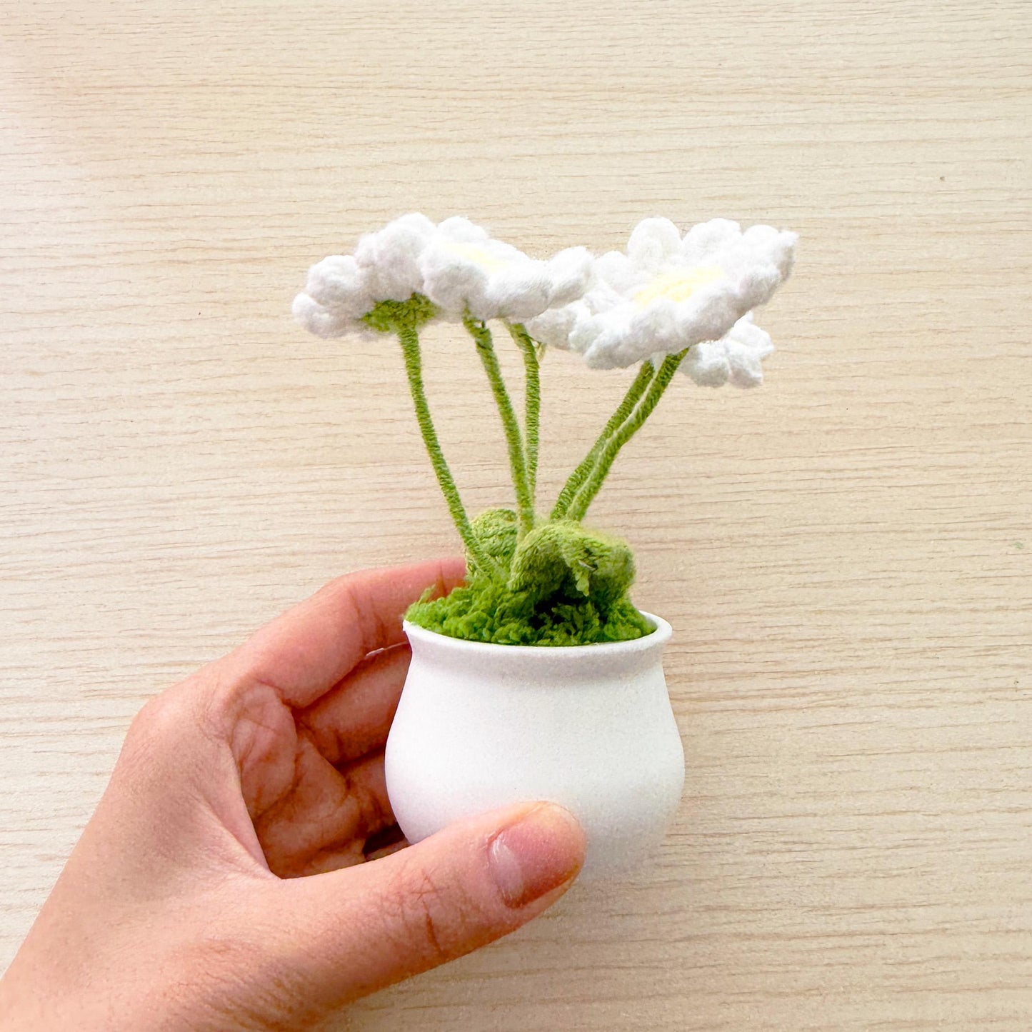 Handmade Crochet Daisy Pot | Crochet Daisy Decor | Dried Daisy | Handmade Gift | Summer Home Decor