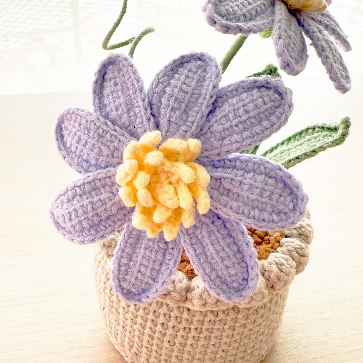 Handmade Crochet Aster Flower Pot | Purple Daisy Decor | Cute Yarn Flower | Decorative Plant | Crochet Flowers | Gift for Her