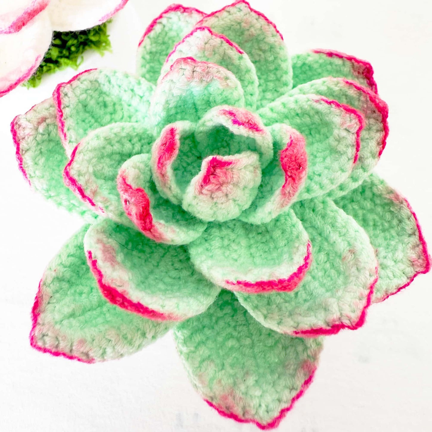 Handmade Crochet Succulent Pot | Yarn Succulent Decor | Cute Crochet Plant | Faux Succulent | Indoor Greenery | Desk Plant | Home Decor