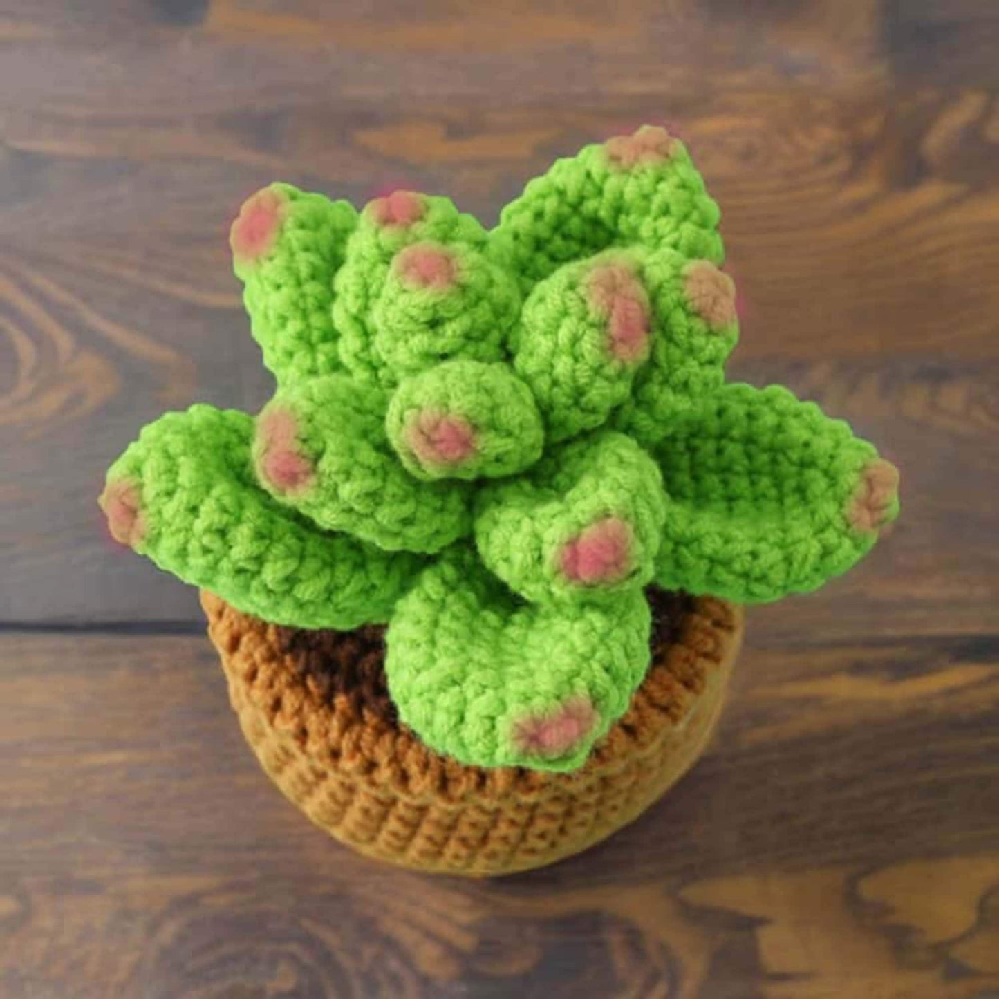 Finished Handmade Crochet Succulent | Crocheted Pachyphytum | Mini Flower Pot | Office Desk Home Decor | Decorative Plants | Gift Mom Friend