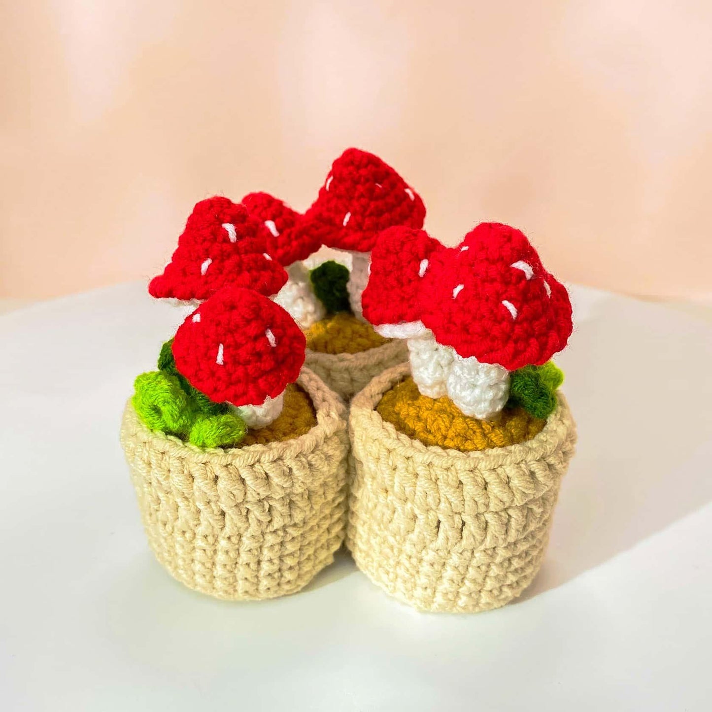 Handmade Crochet Tulip/Mushroom Magnet | Cute Mushroom Decor | Mini Flower Pot | Fridge Magnet | Spring Decor | Gift for Plant Lovers