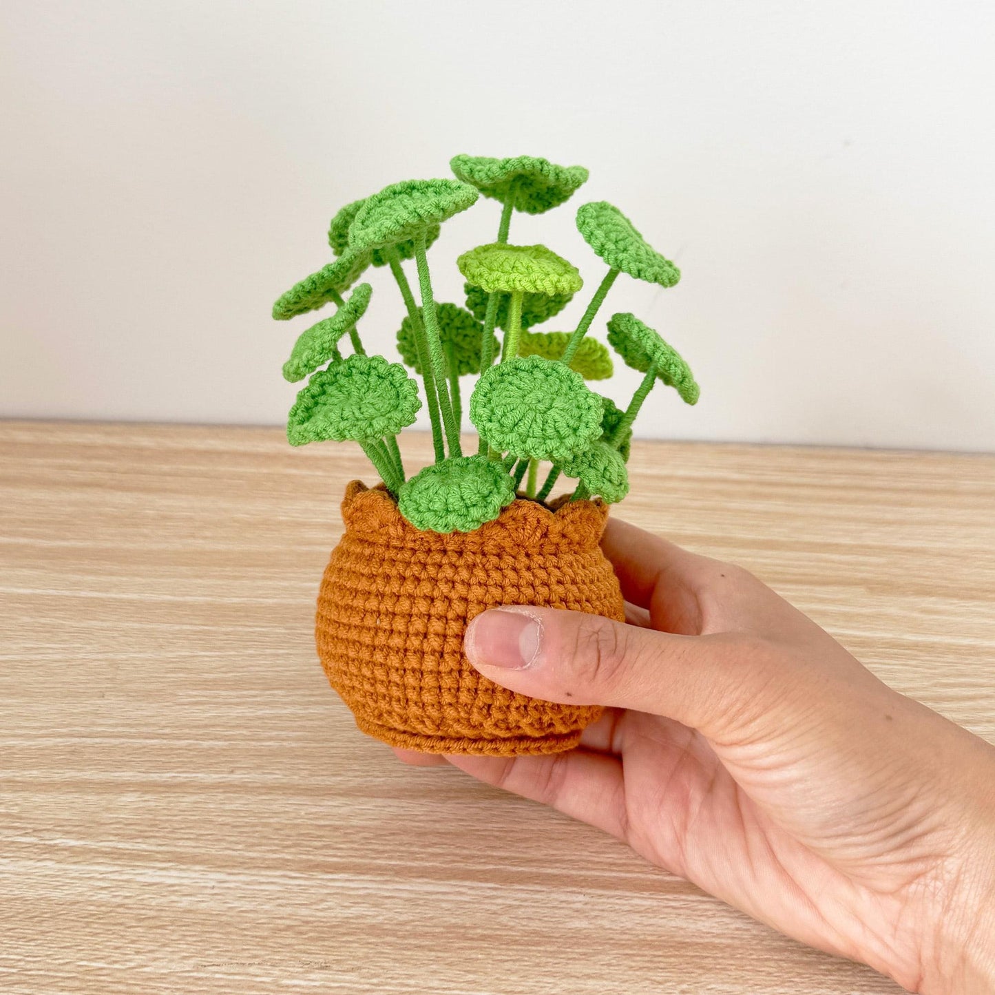 Handmade Crochet Plant Set | Mint | Monstera | Succulent | Fern | Snake Plant | Houseplant Gift | Crochet Home Decor | Indoor Garden Art