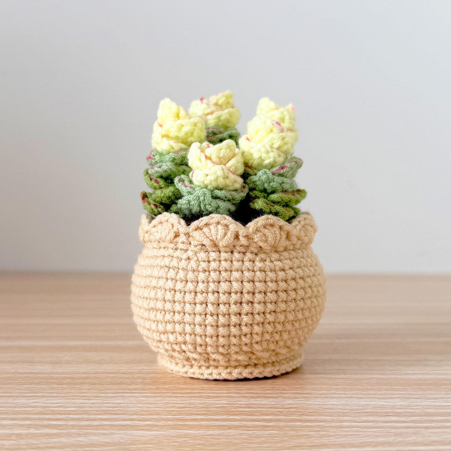 Handmade Crochet Echeveria Succulent | Faux Plant Decor | Yarn Succulent | Cute Mini Plant | Home Office Decor | Plant Lover Gift