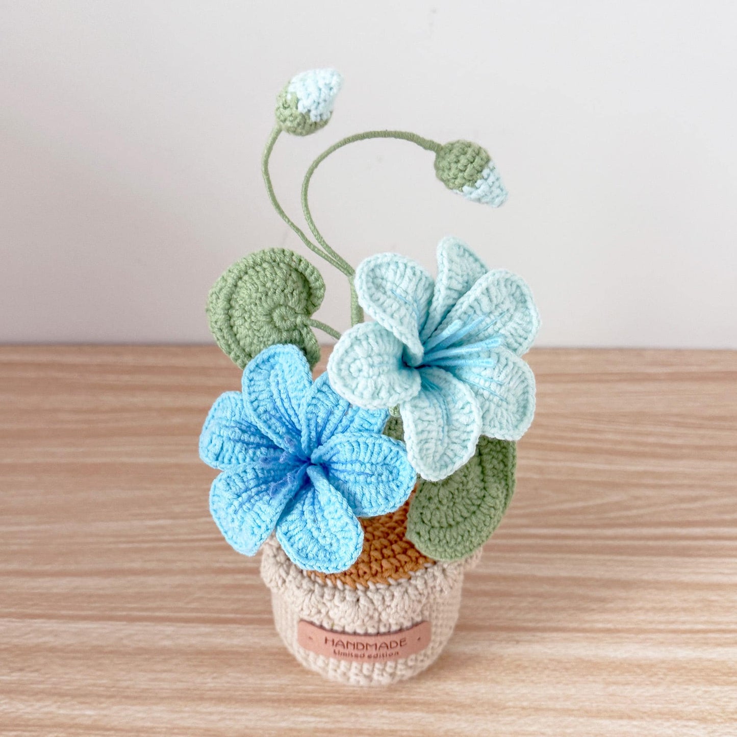 Handmade Crochet Vernicia Fordii Flower Pot Plant | Home Desktop Table Decor | Pink | Handcrafted Gift for Wife Mom Birthday