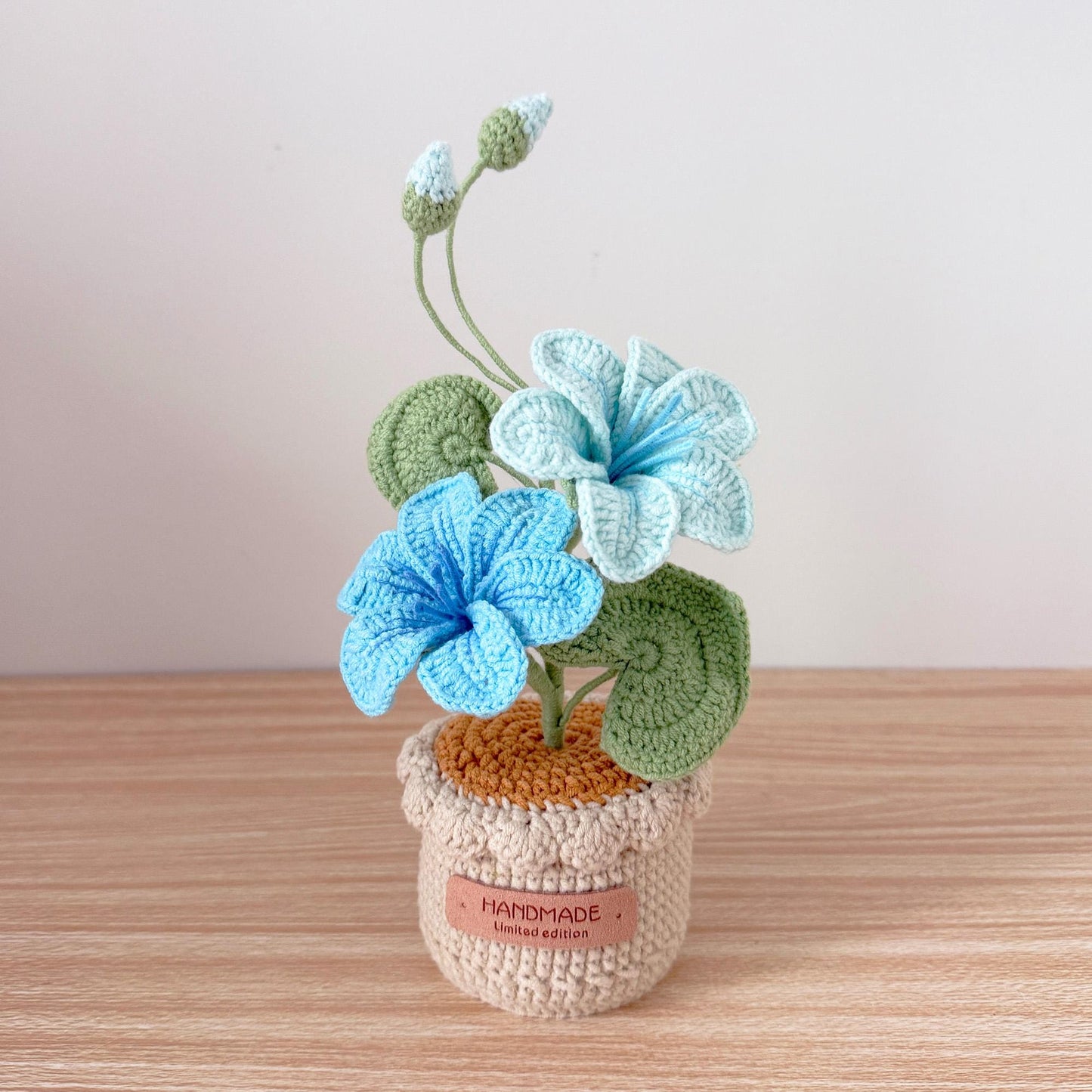 Handmade Crochet Vernicia Fordii Flower Pot Plant | Home Desktop Table Decor | Pink | Handcrafted Gift for Wife Mom Birthday