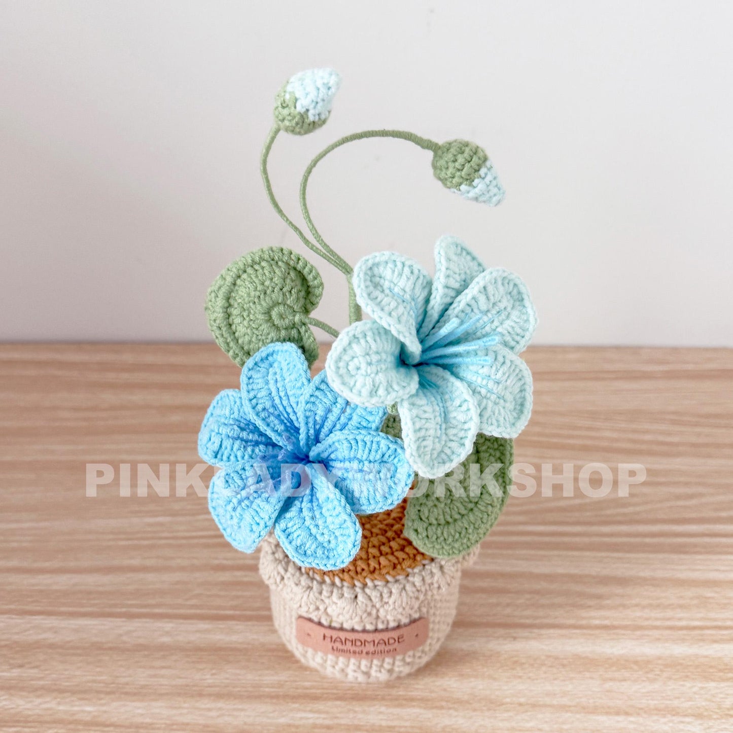 Crochet Vernicia Fordii Flower Pot: Handmade Yarn Plant Decor