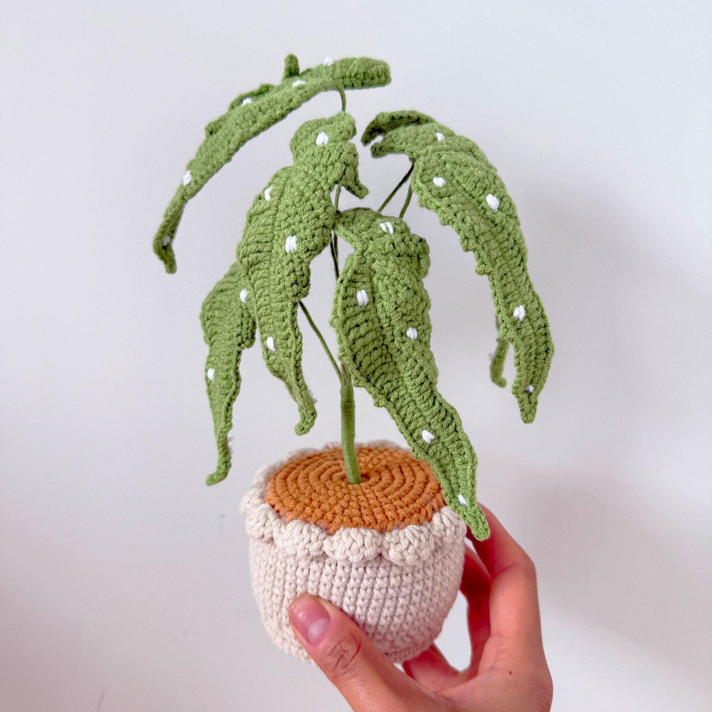 Handmade Crochet Begonia Flamingo Queen Plant | Polka Dot Houseplant | Green or Pink Leaf Decor | Indoor Plant Lover Gift | Botanical Art
