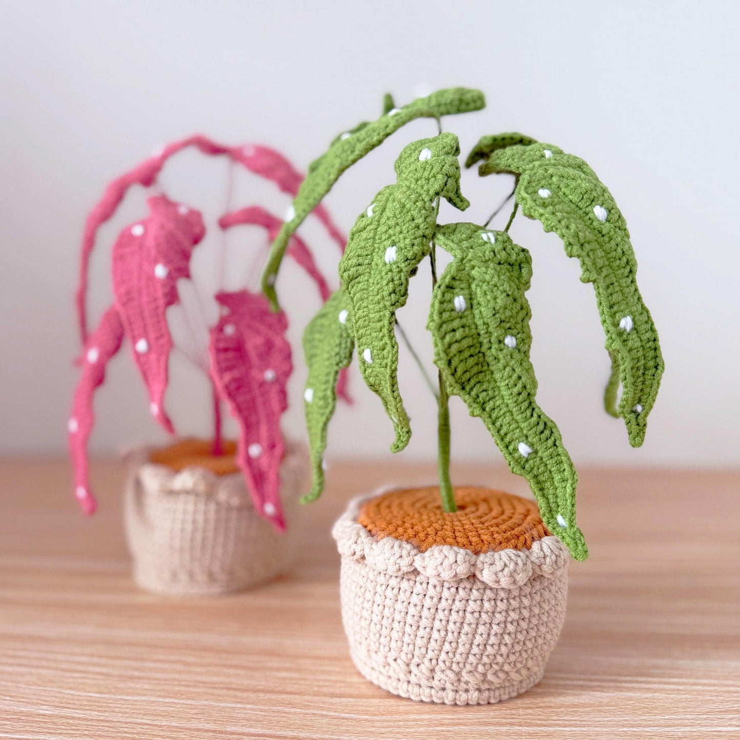 Handmade Crochet Begonia Flamingo Queen Plant | Polka Dot Houseplant | Green or Pink Leaf Decor | Indoor Plant Lover Gift | Botanical Art