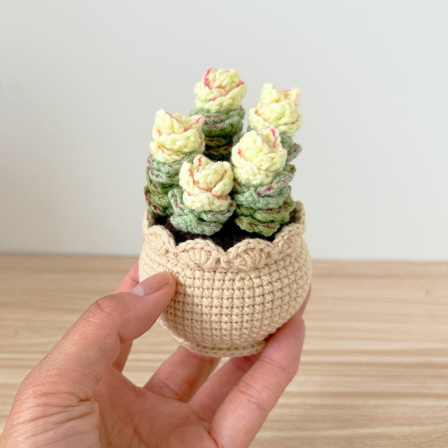 Handmade Crochet Echeveria Succulent | Faux Plant Decor | Yarn Succulent | Cute Mini Plant | Home Office Decor | Plant Lover Gift