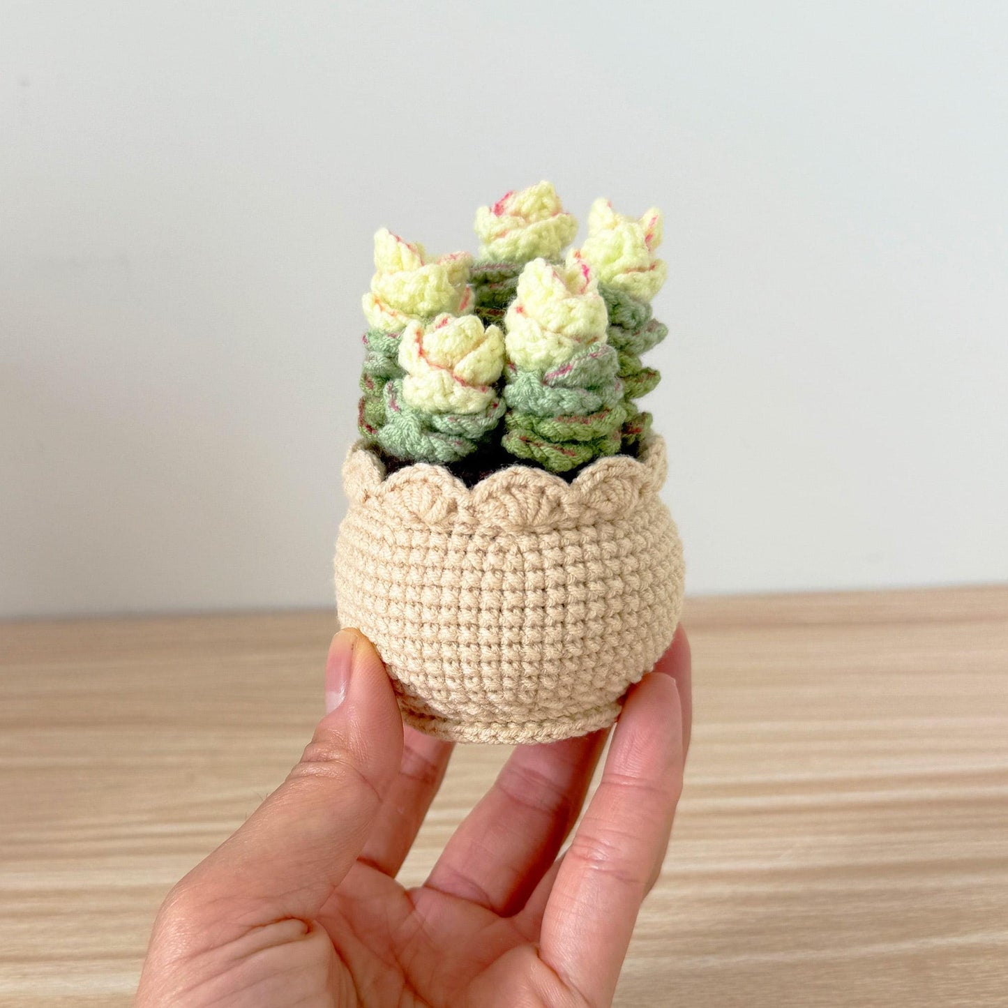Handmade Crochet Echeveria Succulent | Faux Plant Decor | Yarn Succulent | Cute Mini Plant | Home Office Decor | Plant Lover Gift