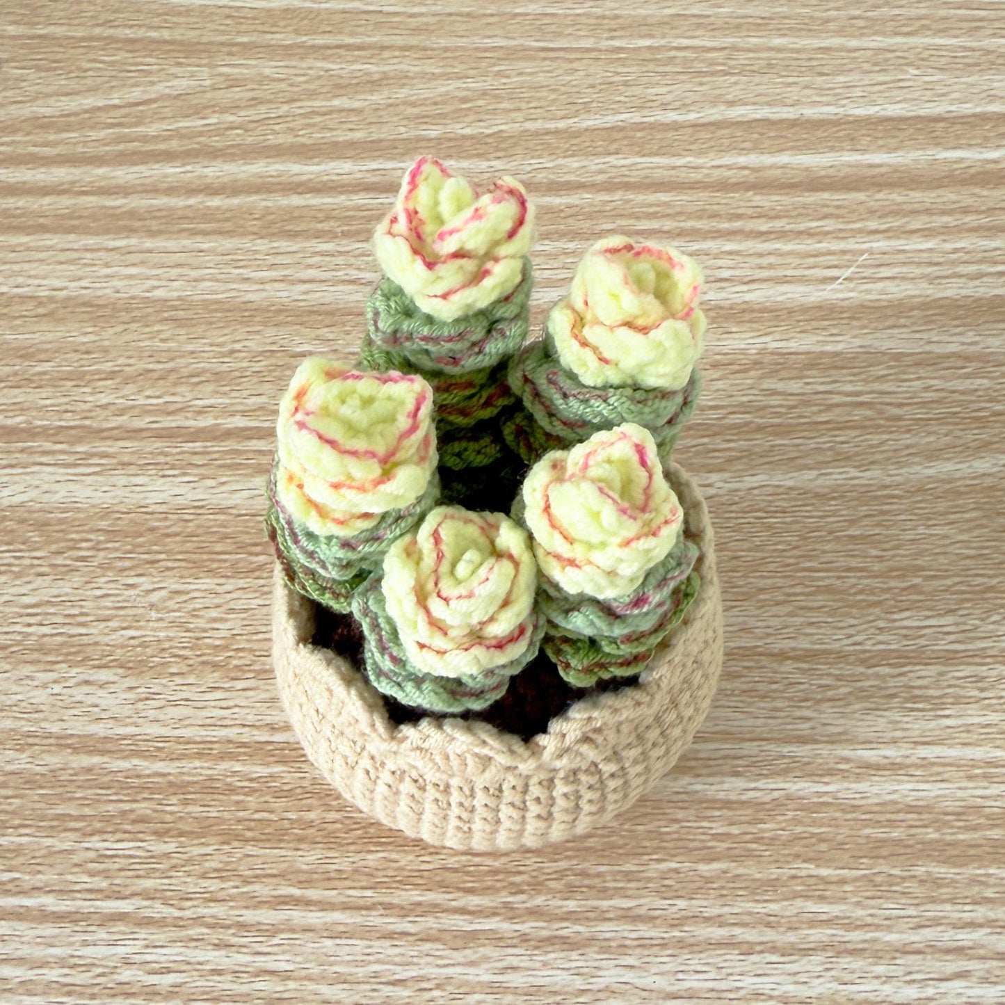 Handmade Crochet Echeveria Succulent | Faux Plant Decor | Yarn Succulent | Cute Mini Plant | Home Office Decor | Plant Lover Gift
