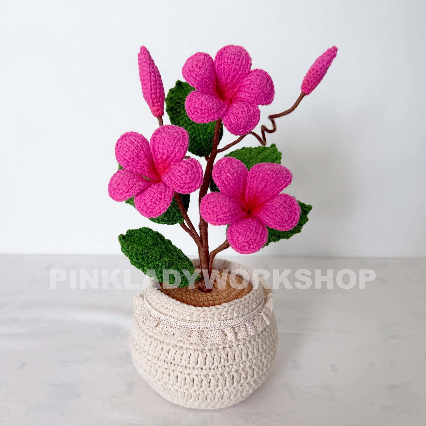 Handmade Crochet Plumeria Pot: Tropical Yarn Flower Decor