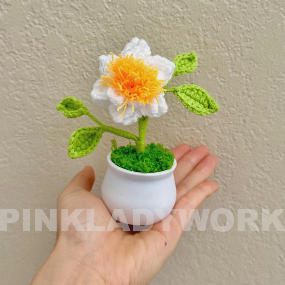 Crochet Gardenia Flower Pot: Handmade Yarn Decor, Dried Daisy