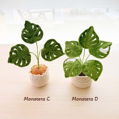 Handmade Crochet Plant Set: Monstera, Succulent, Fern