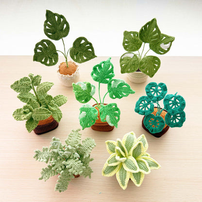Handmade Crochet Plant Set: Monstera, Succulent, Fern