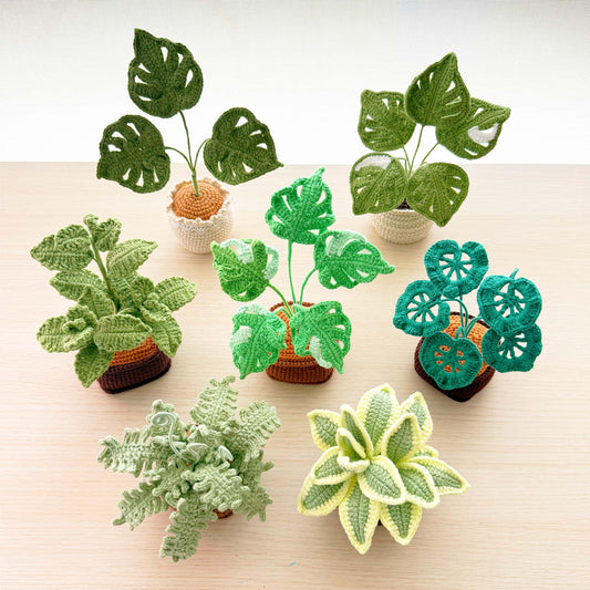 Handmade Crochet Plant Set: Monstera, Succulent, Fern